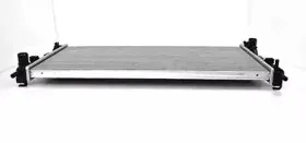 BSG 30-520-023 BSG Радиатор, охлаждение двигателя